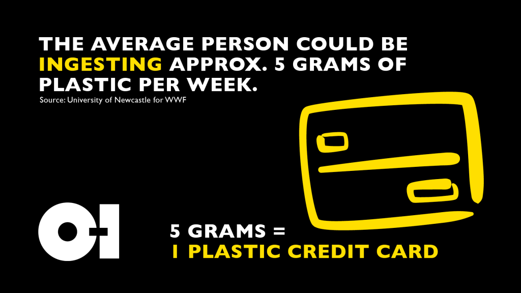 plastic ingested stat infographic