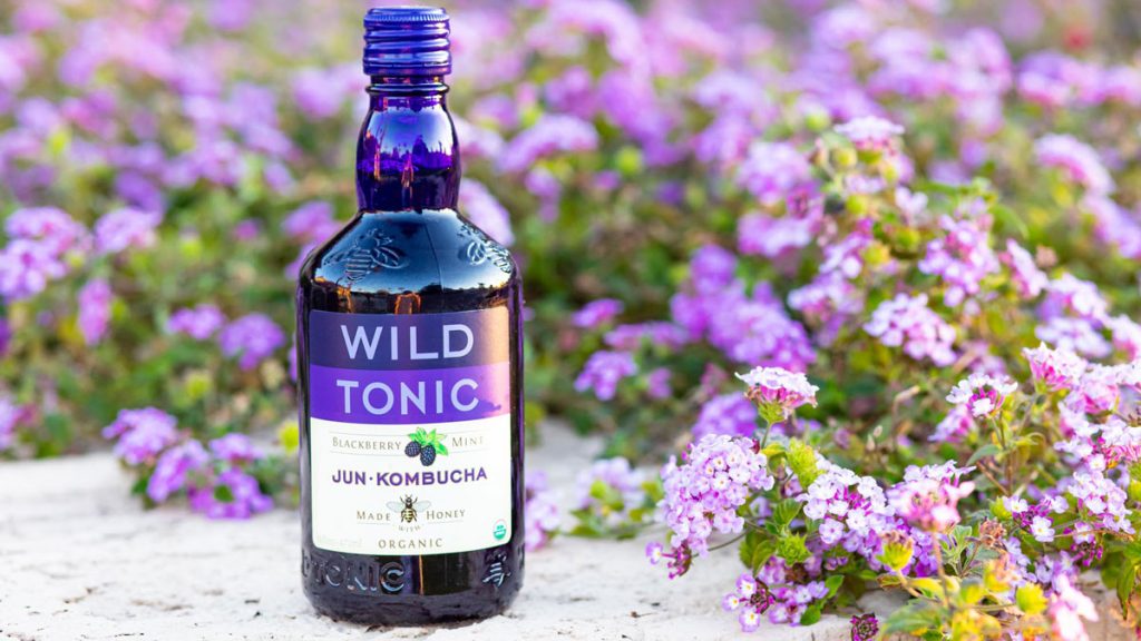 wild tonic hard kombucha glass bottle
