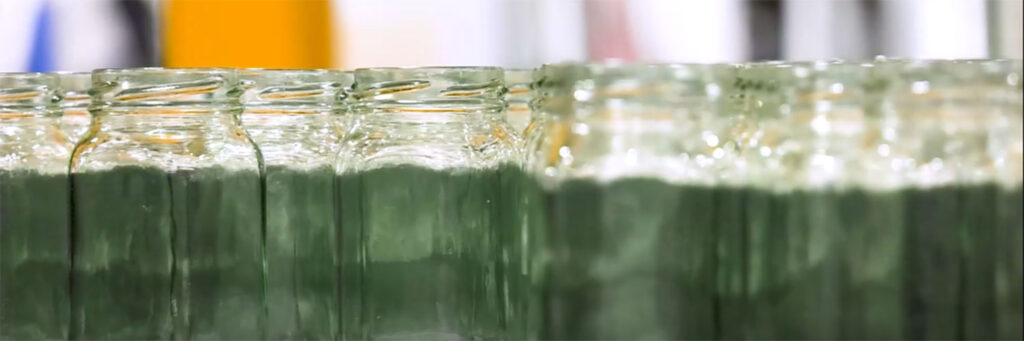 glass jars in the plant